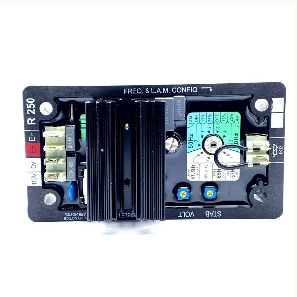LEROY-SOMER-R250